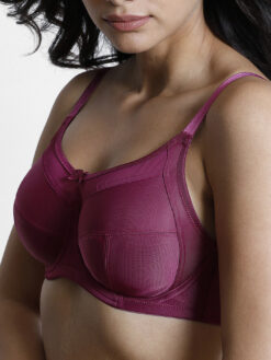 Zivame Maroon Solid Underwired Non Padded Everyday Bra - Image 3