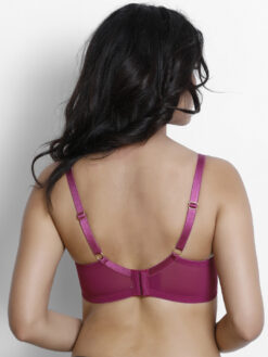 Zivame Maroon Solid Underwired Non Padded Everyday Bra - Image 4