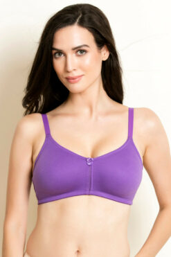 Purple Sexy Bra, Double Padded Bra, purple sexy bra, double padded bra, wire-free bra, breathable bra, lavender bra, trendy lingerie, comfortable bra, stylish bra, peek-a-boo mesh bra, everyday wear bra, night dress bra, comfortable lingerie, adjustable bra, ladies bra, support bra
