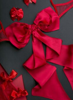 Present costume red holiday lingerie - Image 4