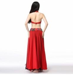 Egyptian Bellydance Beaded Set Bra Belt Skirt - Image 4