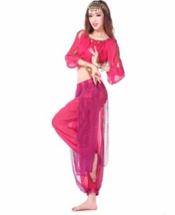 2 pieces Suit Belly Dance Costumes - Image 6
