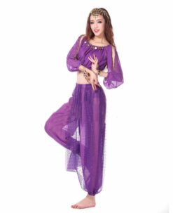 2 pieces Suit Belly Dance Costumes - Image 3