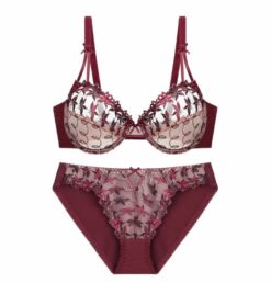 Red Ultra Thin Transparent Bra Set, Embroidery Bra, red embroidered bra set, transparent bra set, embroidered lingerie, ultra-thin bra, lace detailing bra, romantic lingerie, special occasion lingerie, night dress, sexy transparent bra, elegant lingerie, embroidered bras, breathable bra, luxury lingerie, lingerie online Pakistan