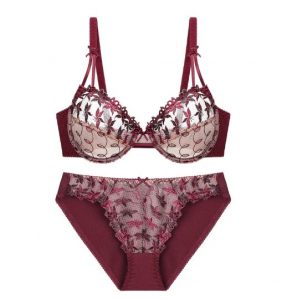 Red Ultra Thin Transparent Bra Set, Embroidery Bra, red embroidered bra set, transparent bra set, embroidered lingerie, ultra-thin bra, lace detailing bra, romantic lingerie, special occasion lingerie, night dress, sexy transparent bra, elegant lingerie, embroidered bras, breathable bra, luxury lingerie, lingerie online Pakistan
