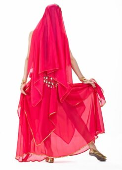 Belly Dance Dress in Pakistan