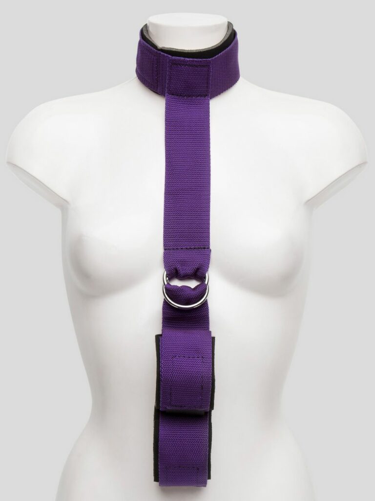 Purple Reins Collar to Wrist Restraint