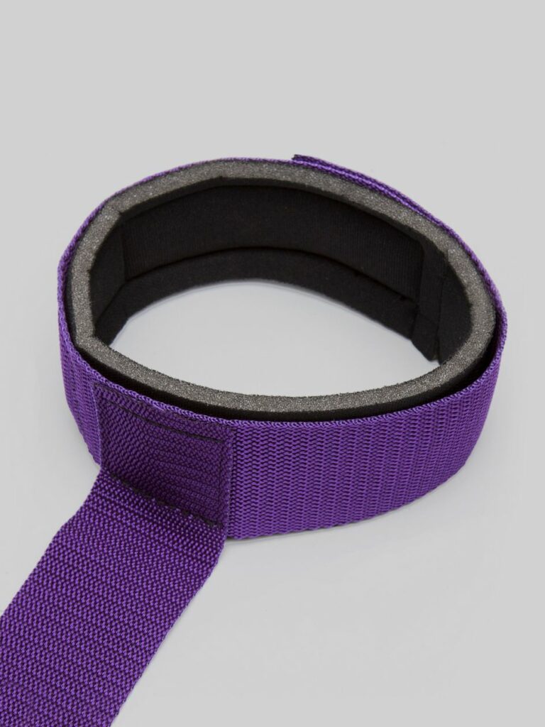 Purple Reins Collar to Wrist Restraint