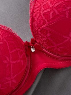 Sexy Lace Simple Gather Small Bust Enhancing Underwire Bra