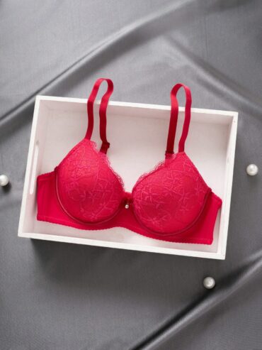 Sexy Lace Simple Gather Small Bust Enhancing Underwire Bra