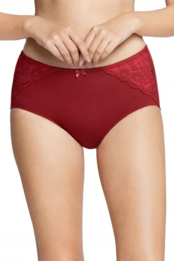 Solid High Rise Seamed Full Brief Panty - Maroon
