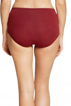Solid High Rise Seamed Full Brief Panty - Maroon