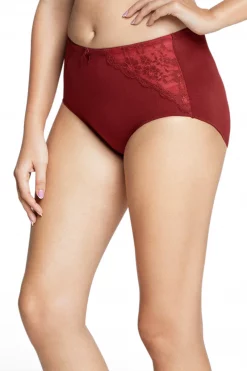 Solid High Rise Seamed Full Brief Panty - Maroon