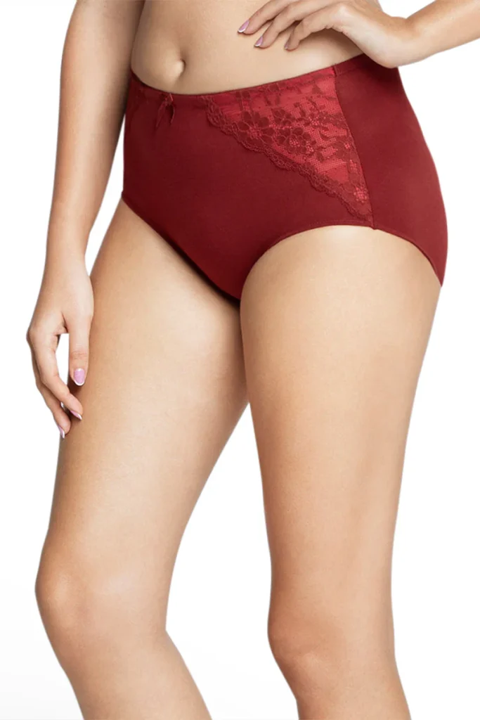 Solid High Rise Seamed Full Brief Panty - Maroon