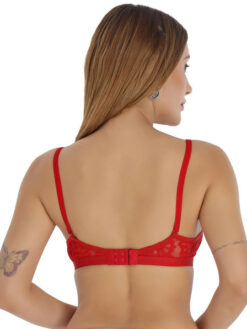 Lightly Padded Net Half Coverage Plunge Bra