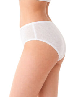 Disposable Period Panties