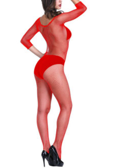 Lingerie Sheered Stockings
