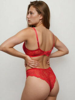 Women Assorted Basic Briefs