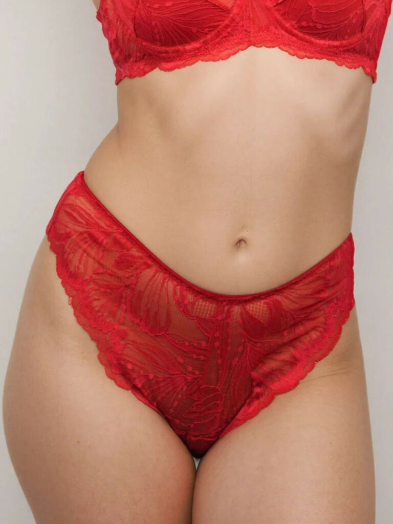 Women Assorted Basic Briefs