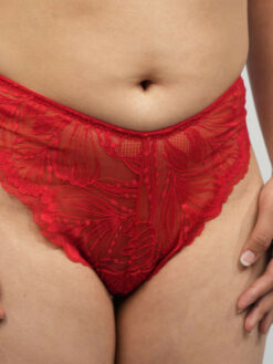 Women Assorted Basic Briefs