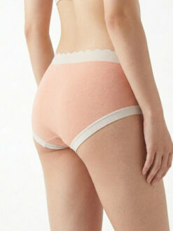 Women Colourblocked Lace Assorted Basic Briefs